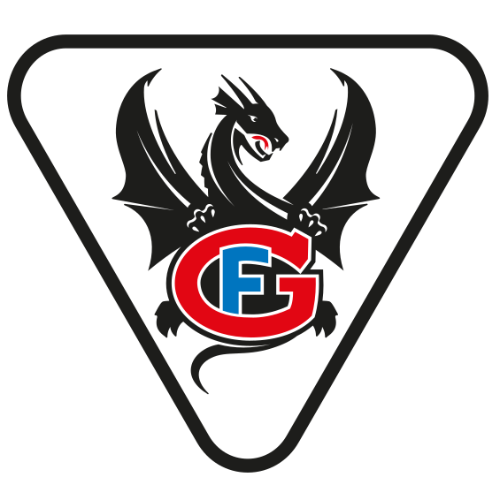 Team Logo